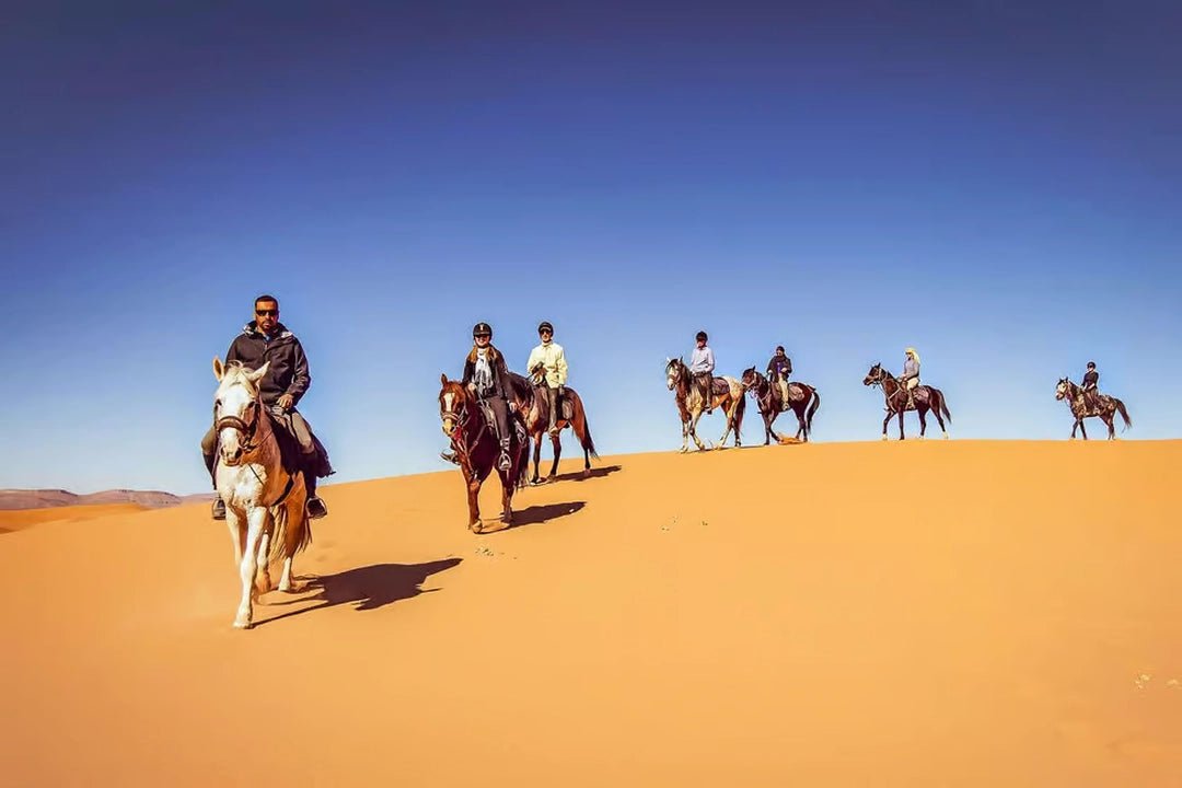 Doha: Arabian Horse Ride Experience with Hotel Pickup