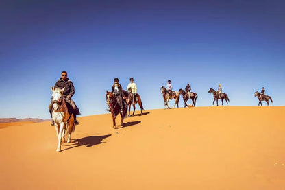 Doha: Arabian Horse Ride Experience with Hotel Pickup