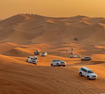 Doha: Arabian Horse Ride Experience with Hotel Pickup