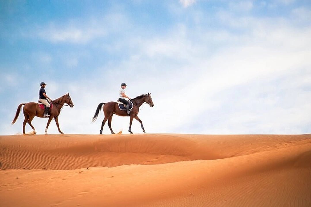Doha: Arabian Horse Ride Experience with Hotel Pickup
