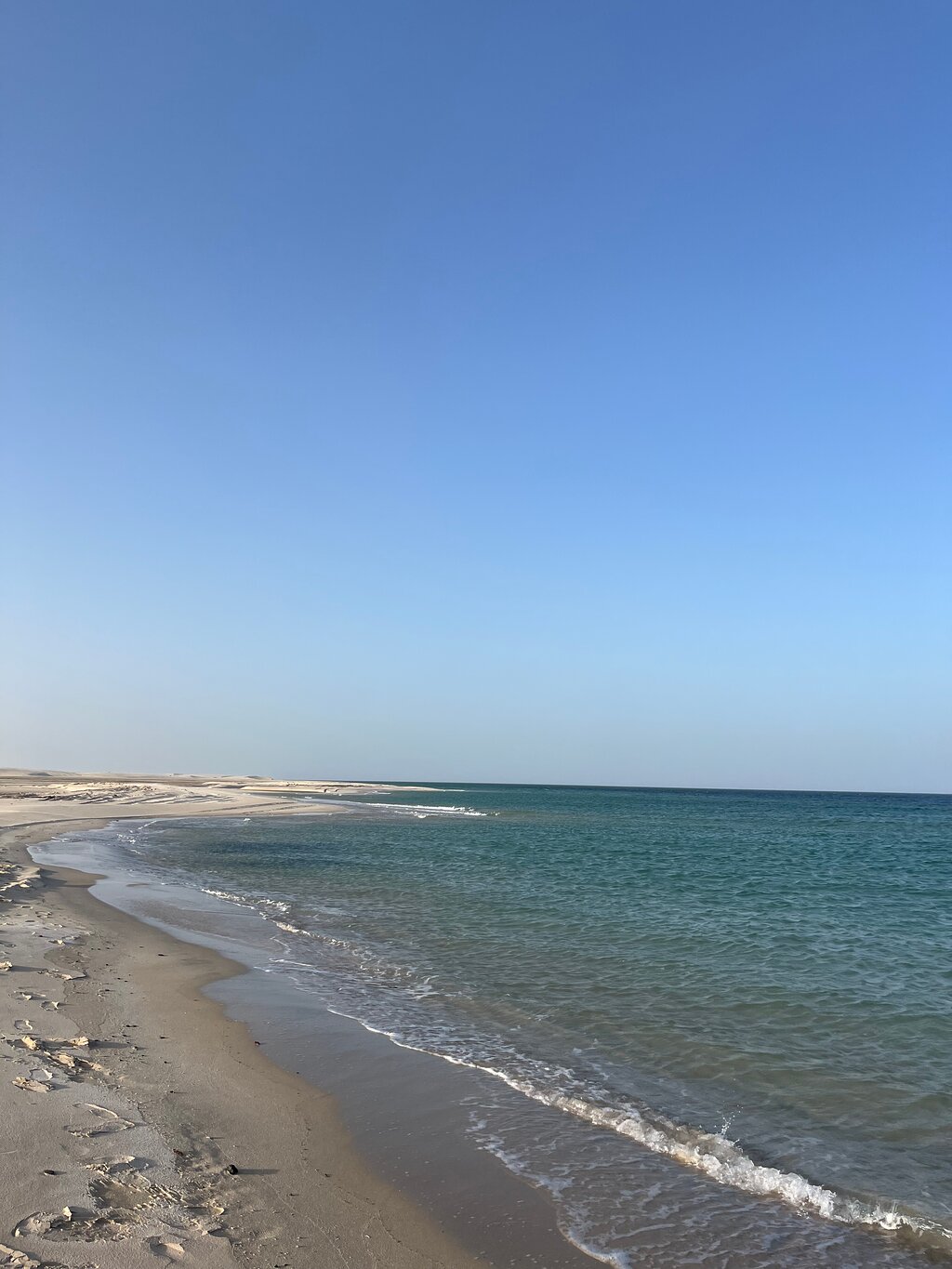 Doha: Combo Private City Tour and Half - Day Desert Safari