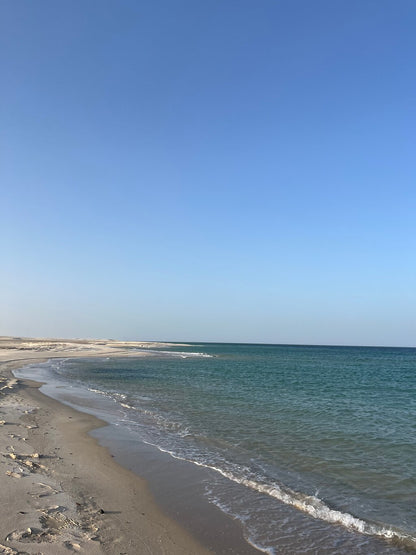 Doha: Combo Private City Tour and Half - Day Desert Safari