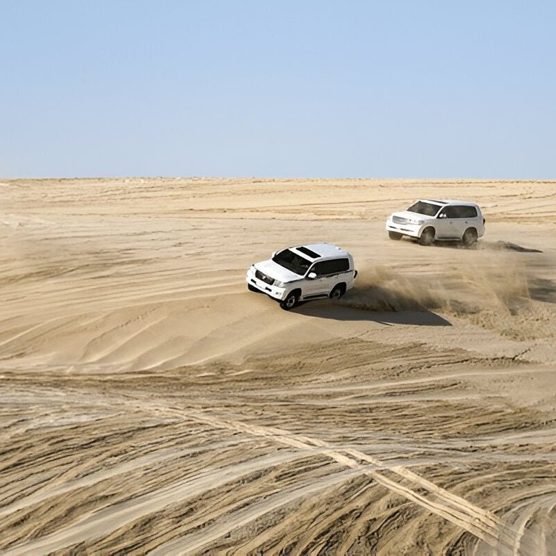 Doha: Combo Private City Tour and Half - Day Desert Safari