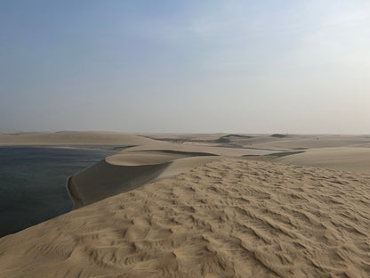 Doha: Combo Private City Tour and Half - Day Desert Safari