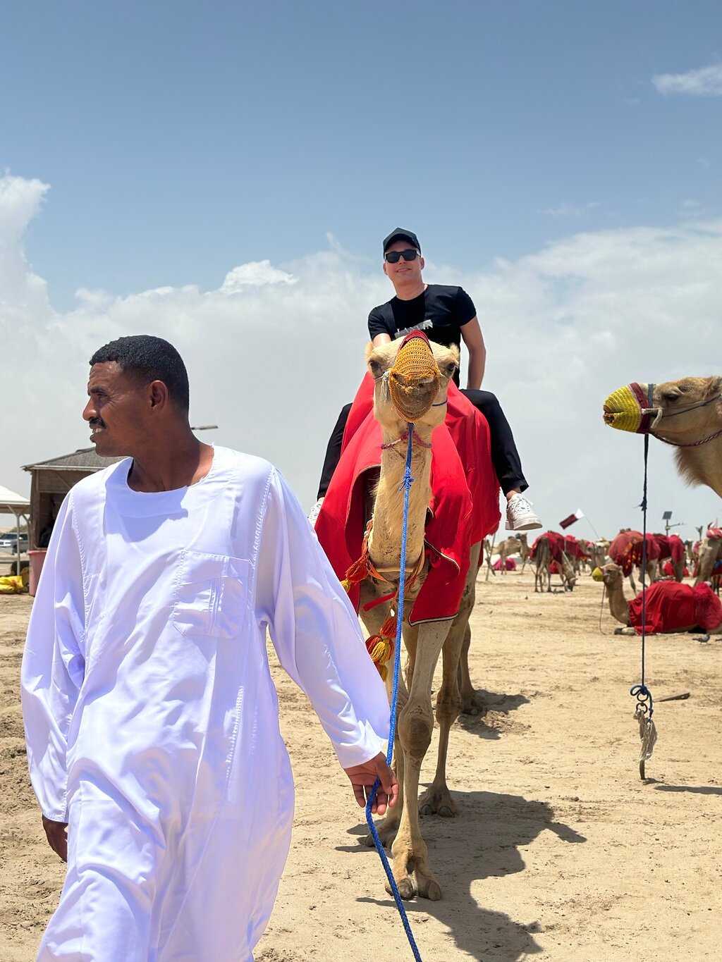 Doha: Combo Private City Tour and Half - Day Desert Safari