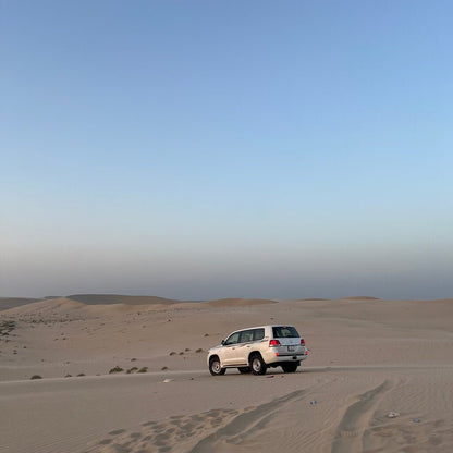 Doha: Combo Private City Tour and Half - Day Desert Safari