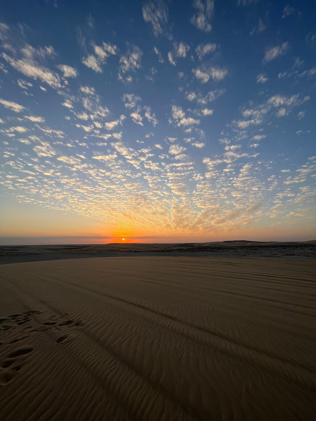 Doha: Combo Private Guided City Tour & Desert Safari Tour