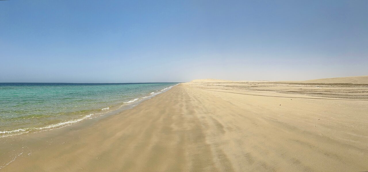 Doha: Combo Private Guided City Tour & Desert Safari Tour