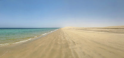 Doha: Combo Private Guided City Tour & Desert Safari Tour