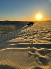 Doha: Combo Private Guided City Tour & Desert Safari Tour