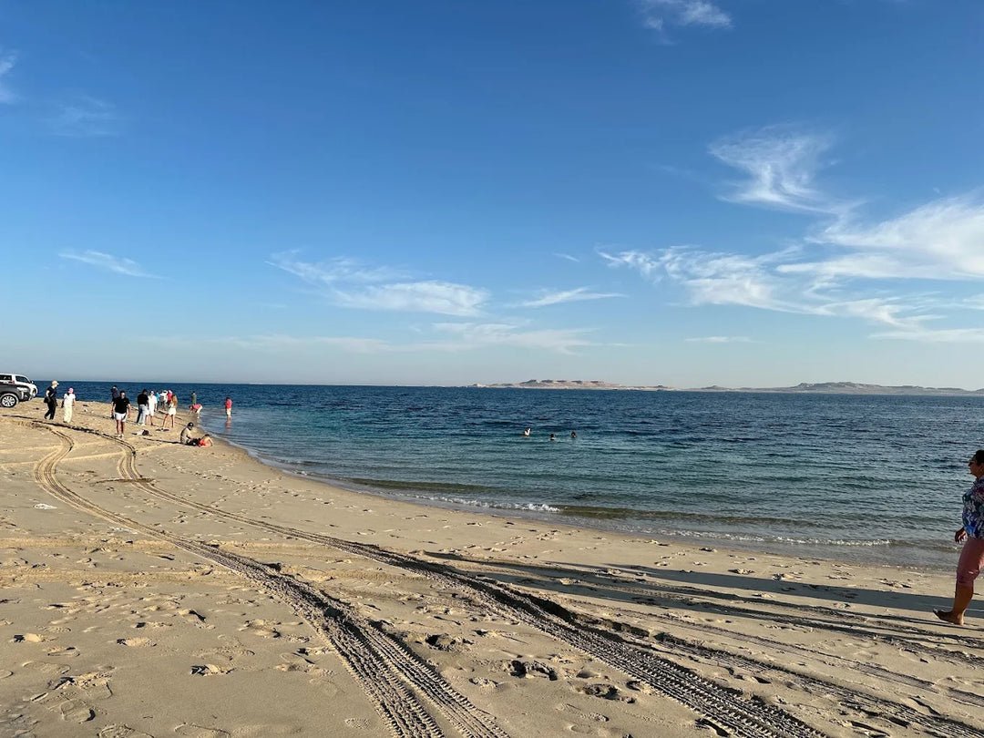 Doha: Day or Night Desert Safari, Stargazing and Optional Camel Ride