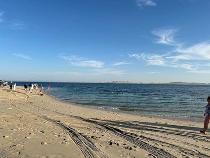 Doha: Day or Night Desert Safari, Stargazing and Optional Camel Ride