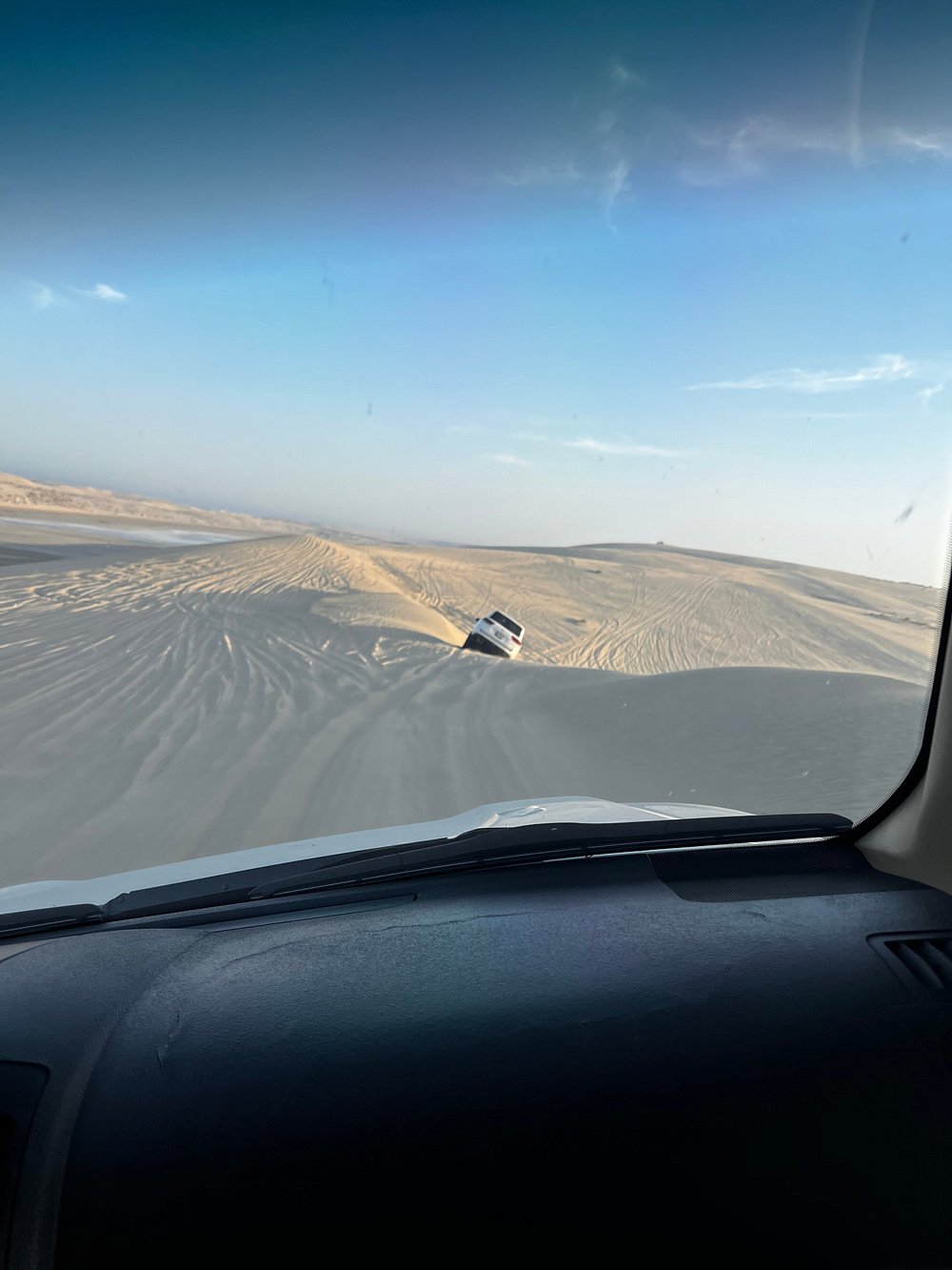 Doha: Desert Safari, Dune Bashing, and Sandboarding Tour