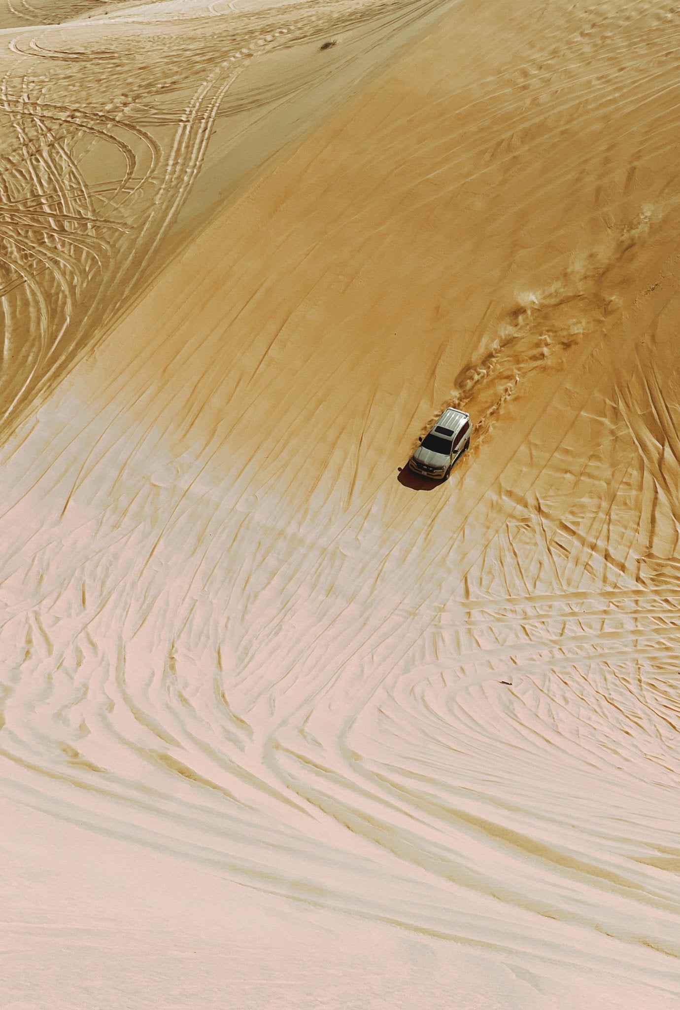 Doha: Desert Safari, Quad Bike, Camel Ride and Inland Sea Tour