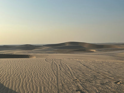 Doha: Desert Safari, Quad Bike, Camel Ride and Inland Sea Tour