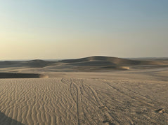 Doha: Desert Safari, Quad Bike, Camel Ride and Inland Sea Tour