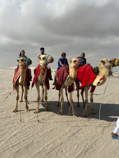 Doha: Desert Safari, Quad Bike Ride, Camel Ride, Sandboarding, and Inland Sea Visit