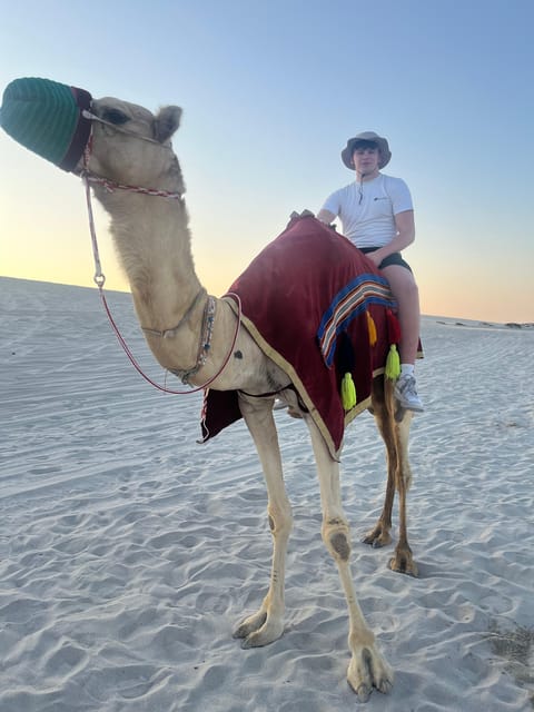 Doha: Desert Safari, Quad Bike Ride, Camel Ride, Sandboarding, and Inland Sea Visit