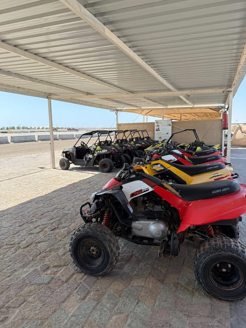 Doha: Desert Safari, Quad Bike Ride, Camel Ride, Sandboarding, and Inland Sea Visit