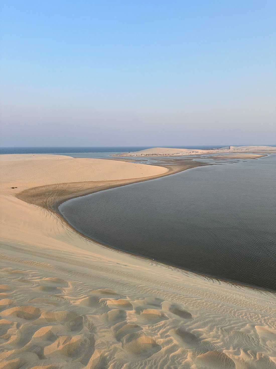 Doha: Desert Safari, Sandboarding and Optional Camel Ride Tour