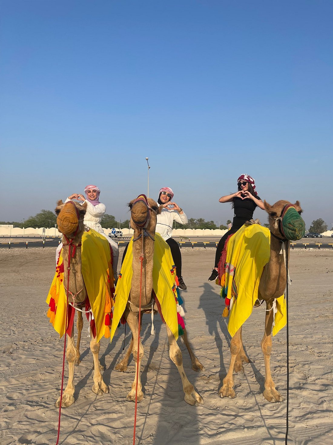 Doha: Desert Safari, Sandboarding and Optional Camel Ride Tour