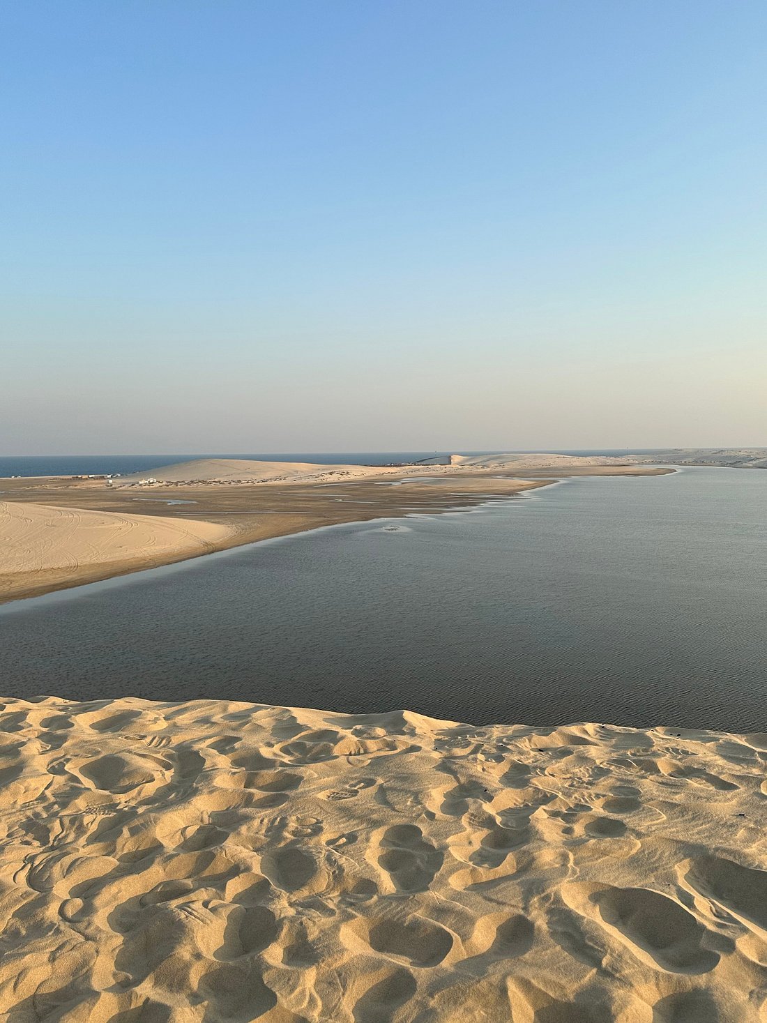 Doha: Desert Safari, Sandboarding and Optional Camel Ride Tour