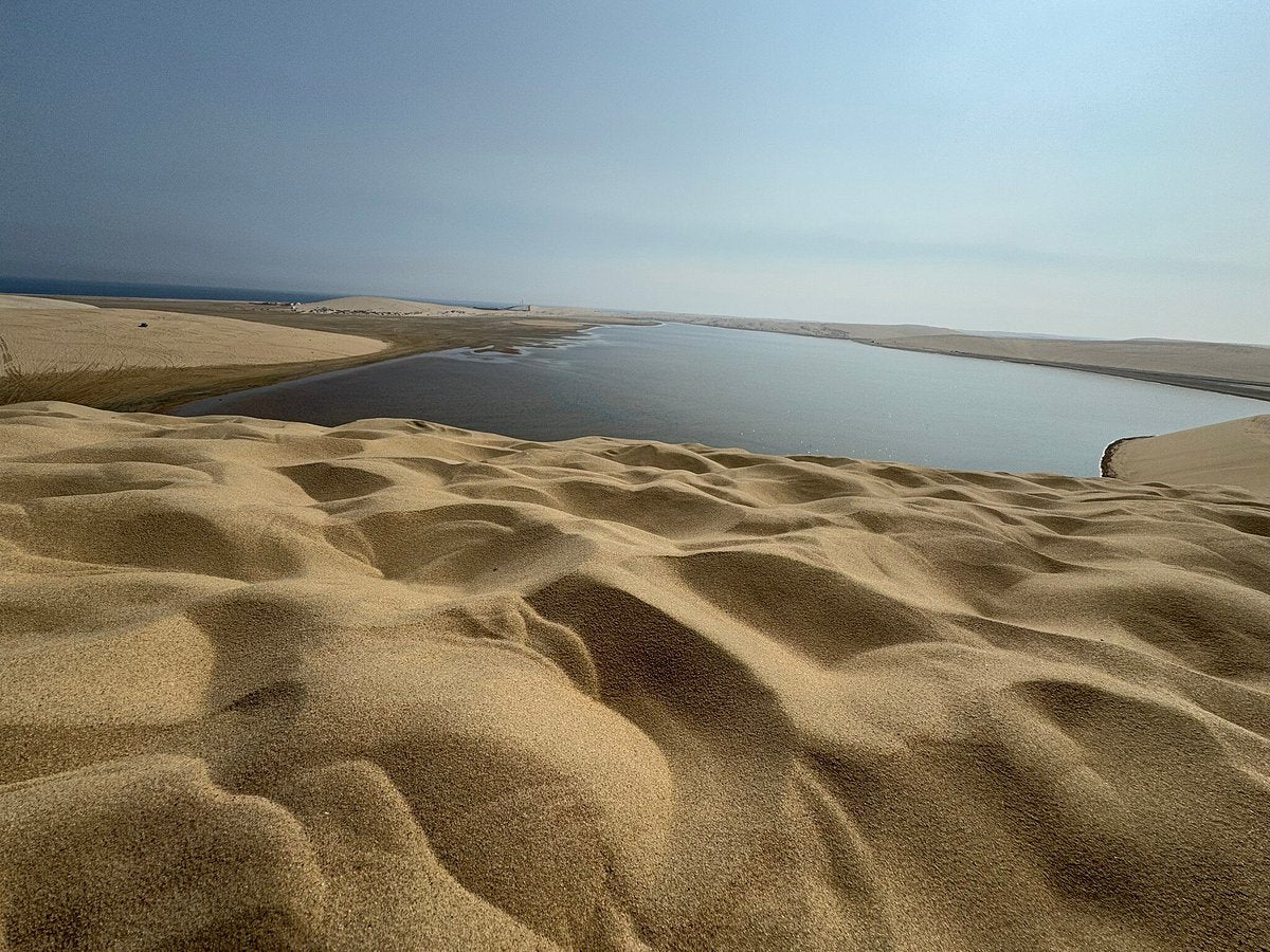 Doha: Desert Safari, Sandboarding and Optional Camel Ride Tour