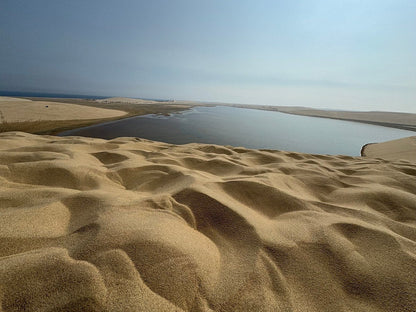 Doha: Desert Safari, Sandboarding and Optional Camel Ride Tour