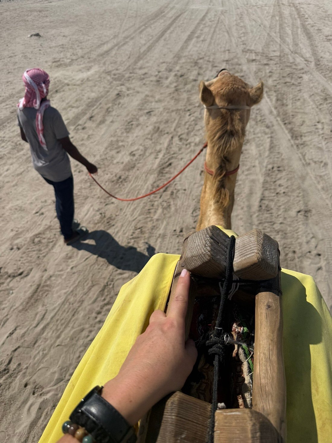 Doha: Desert Safari Tour with ATV Quad Biking and Camel Ride