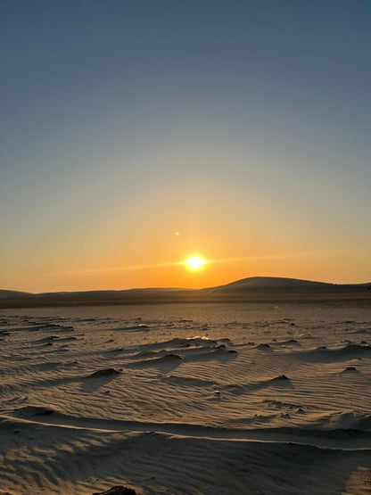 Doha: Desert Safari with ATV or Buggy Ride, Camel Ride, Sandboarding, and Inland Sea Tour