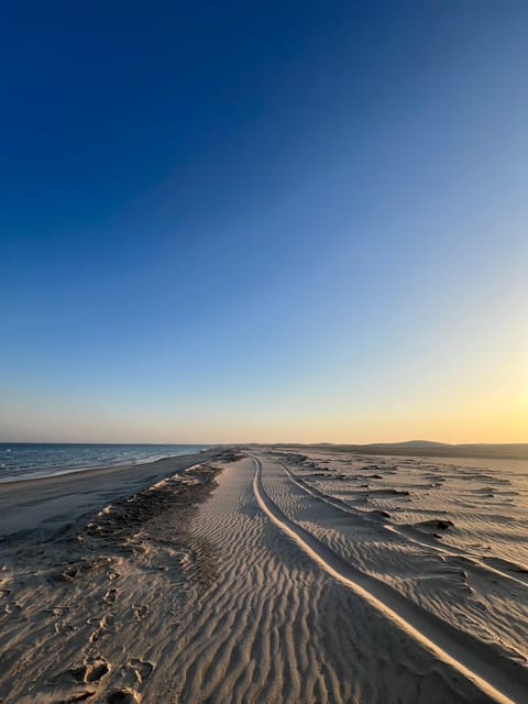 Doha: Desert Safari with ATV or Buggy Ride, Camel Ride, Sandboarding, and Inland Sea Tour