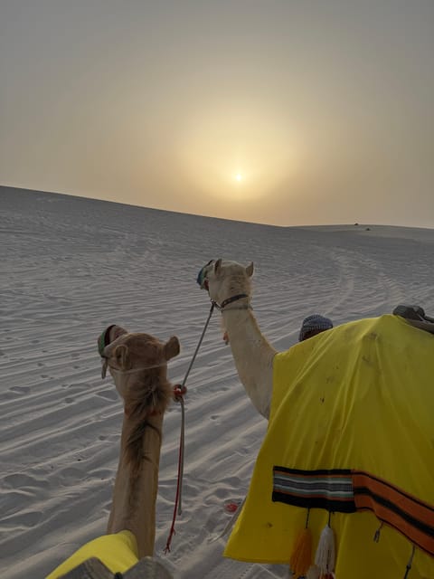 Doha: Desert Safari with ATV or Buggy Ride, Camel Ride, Sandboarding, and Inland Sea Tour