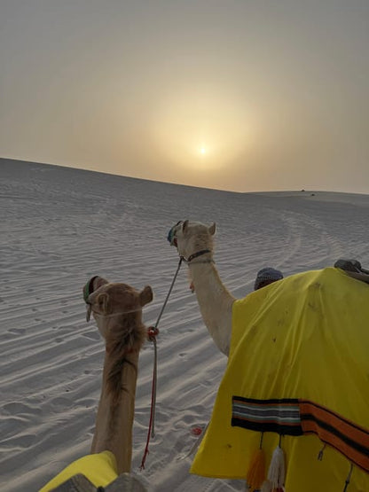 Doha: Desert Safari with ATV or Buggy Ride, Camel Ride, Sandboarding, and Inland Sea Tour