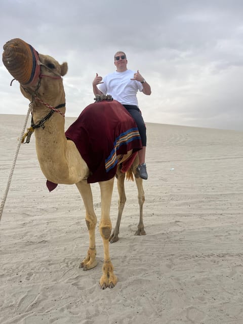 Doha: Desert Safari with ATV or Buggy Ride, Camel Ride, Sandboarding, and Inland Sea Tour