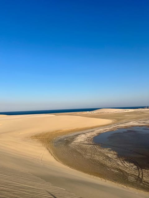 Doha: Desert Safari with ATV or Buggy Ride, Camel Ride, Sandboarding, and Inland Sea Tour