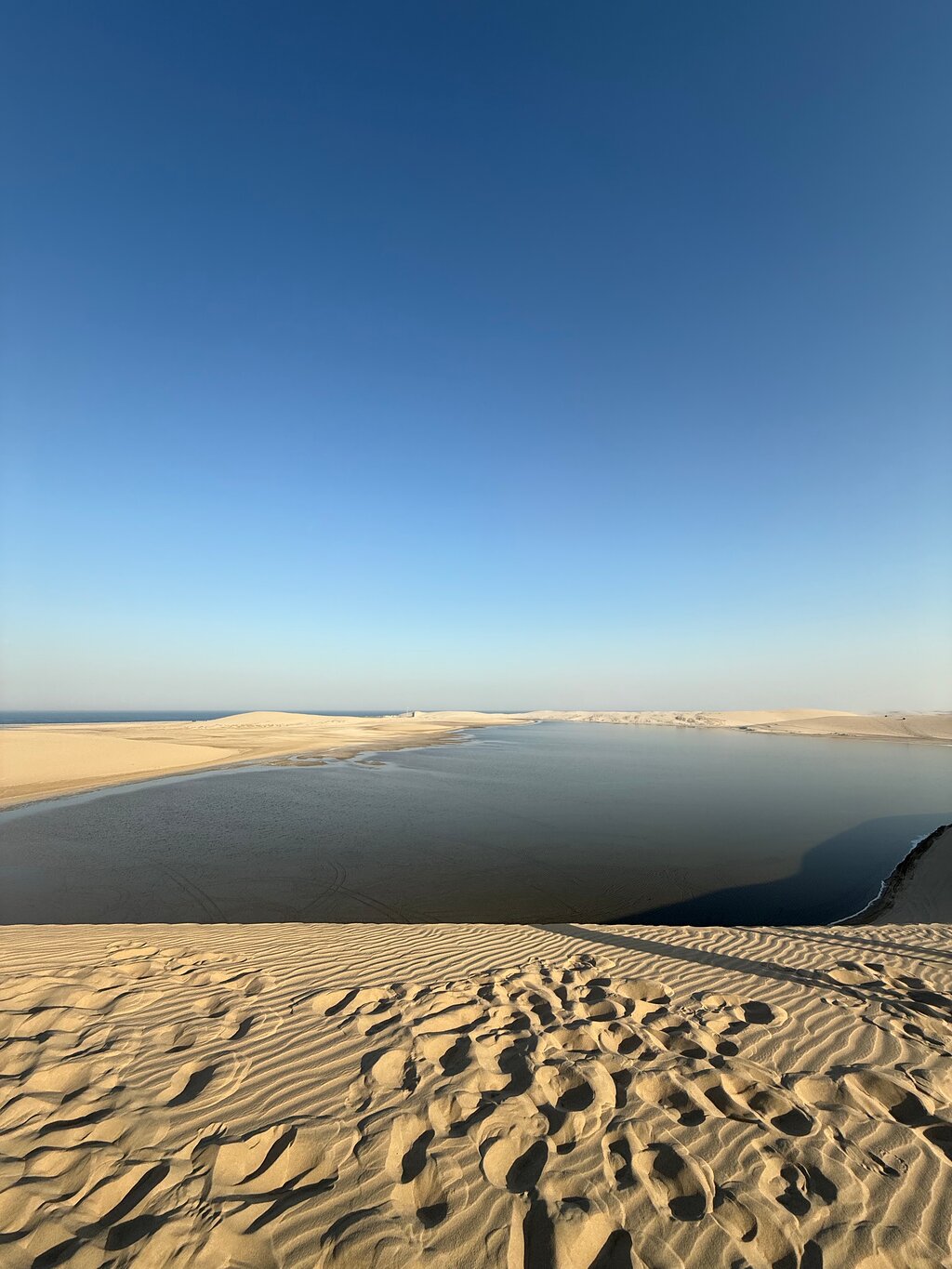 Doha: Desert Safari with Camel Ride, Dune Bashing and ATV Tour