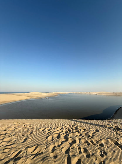 Doha: Desert Safari with Camel Ride, Dune Bashing and ATV Tour