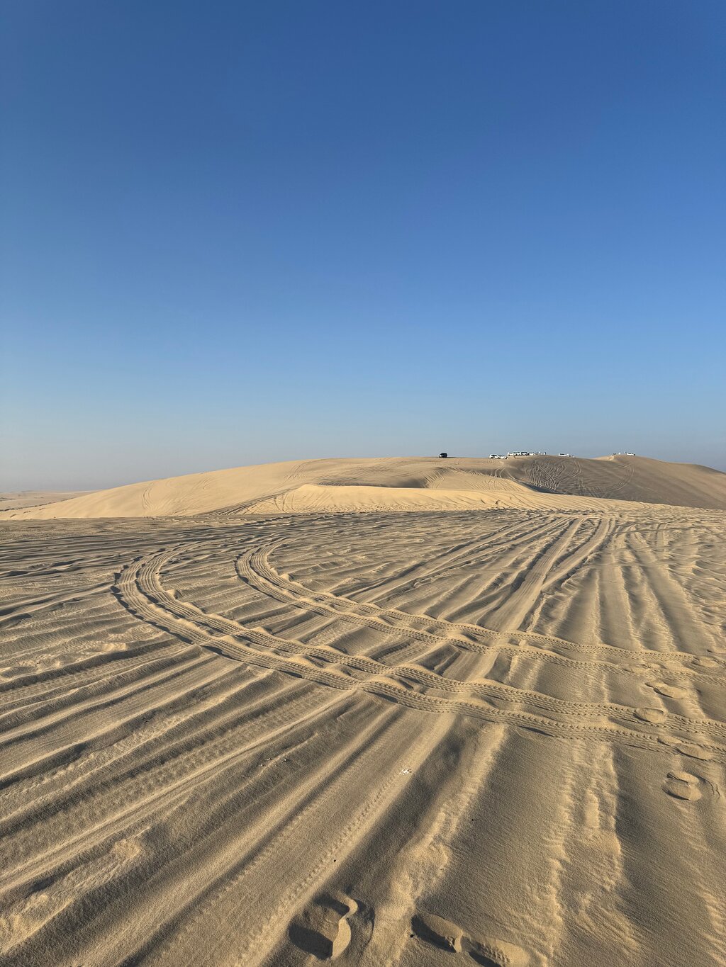 Doha: Desert Safari with Camel Ride, Dune Bashing and ATV Tour