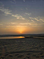 Doha: Desert Safari with Camel Ride, Dune Bashing, and Sandboarding Inland Sea Trip