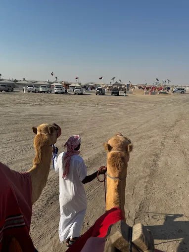 Doha: Desert Safari with Camel Ride, Sandboarding, and Inland Sea Visit