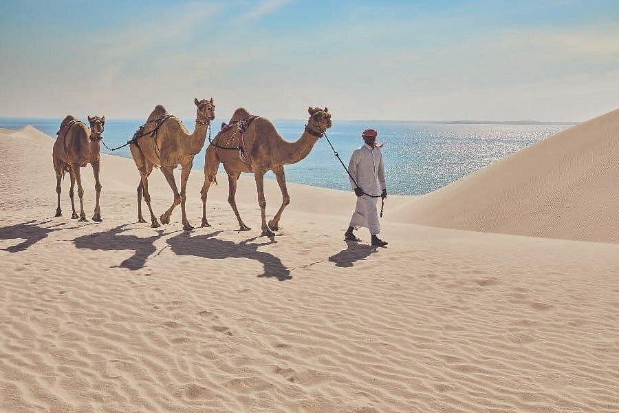 Doha: Desert Safari with Camel Ride, Sandboarding, and Inland Sea Visit