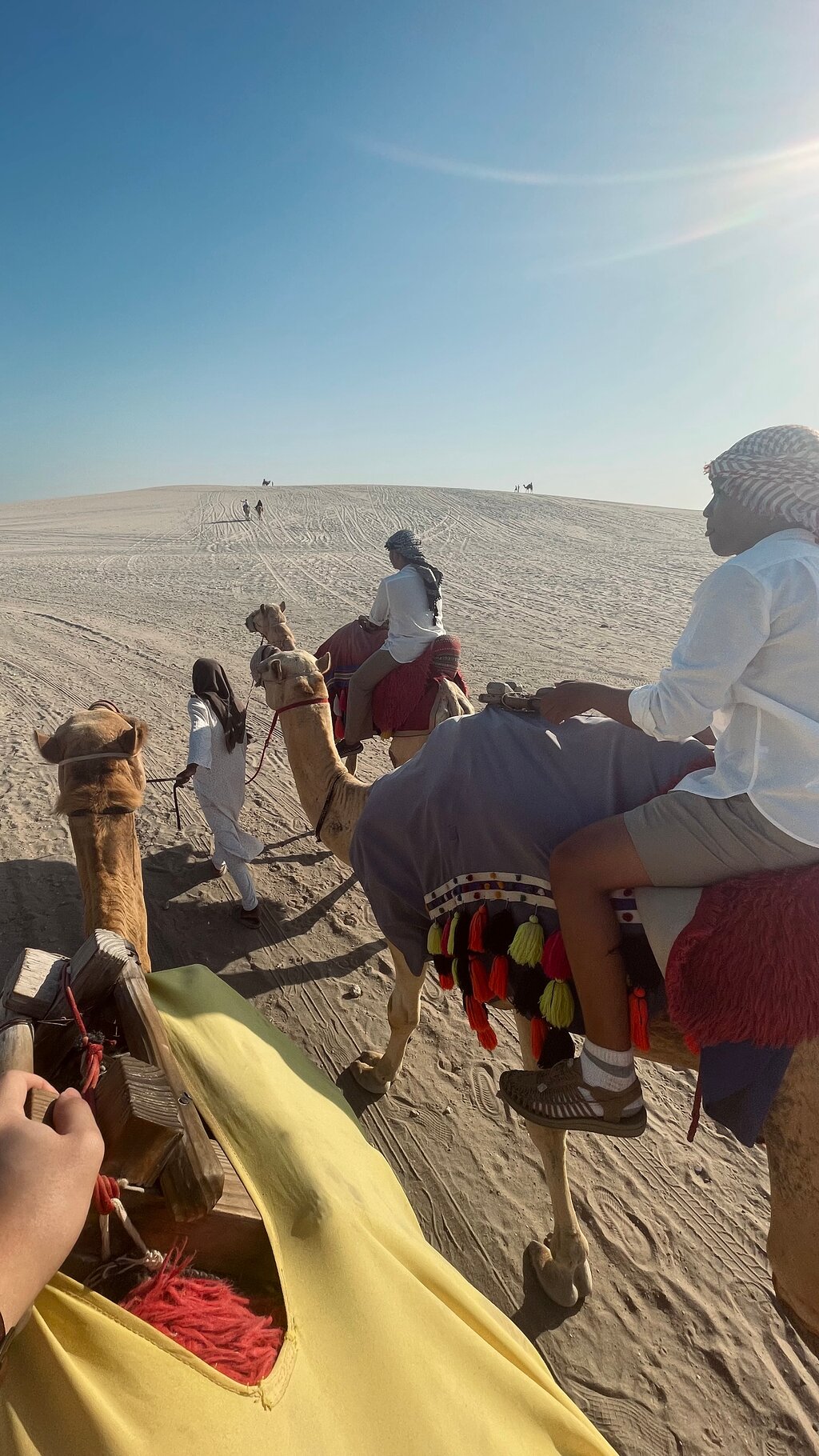 Doha: Desert Safari with Camel Ride, Sandboarding and Inland Sea Visit