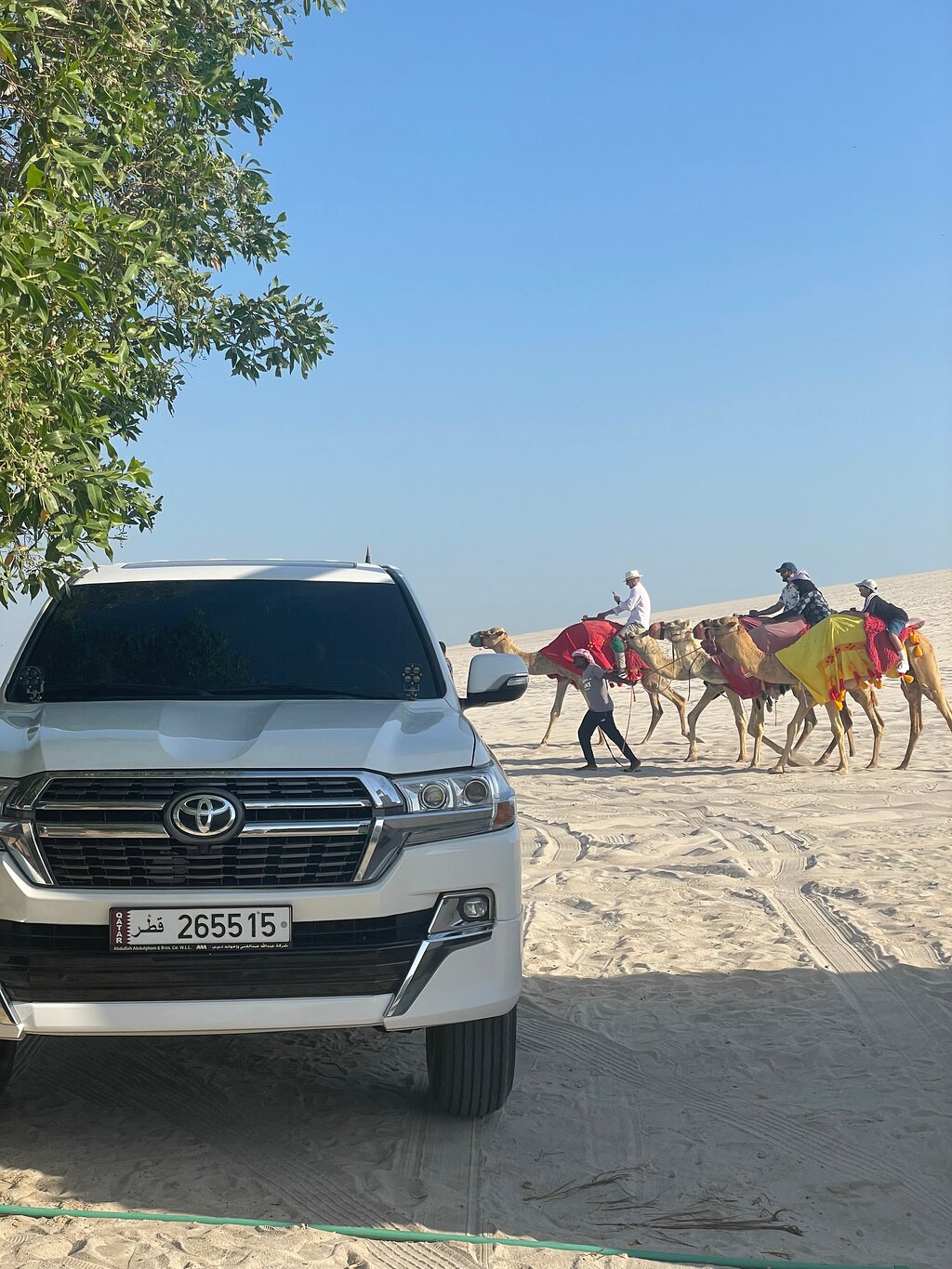 Doha: Desert Safari with Camel Ride, Sandboarding and Inland Sea Visit