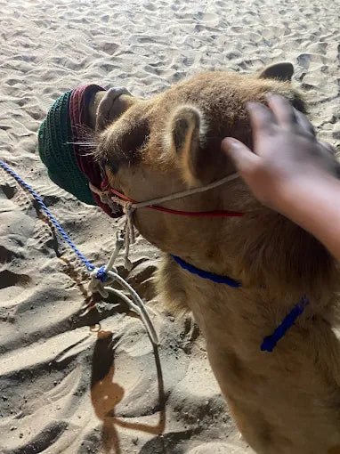 Doha: Desert Safari with Camel Ride, Sandboarding, and Inland Sea Visit