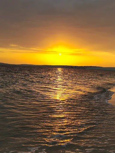 Doha: Desert Safari with Camel Ride, Sandboarding and Inland Sea Visit