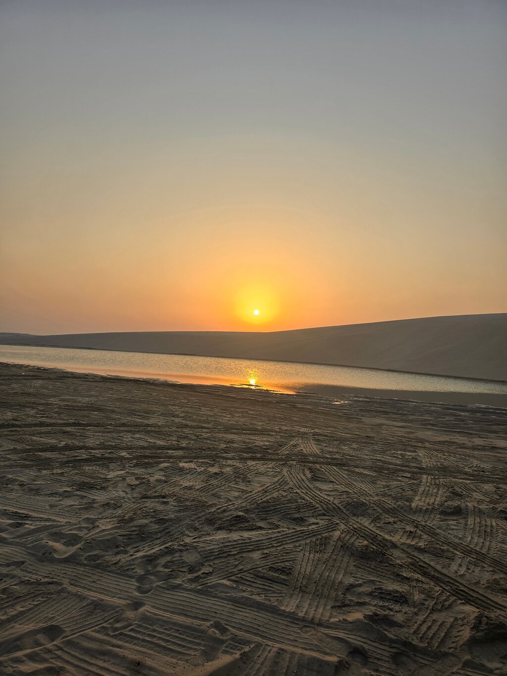 Doha: Desert Safari with Dune Bashing and Camel Ride