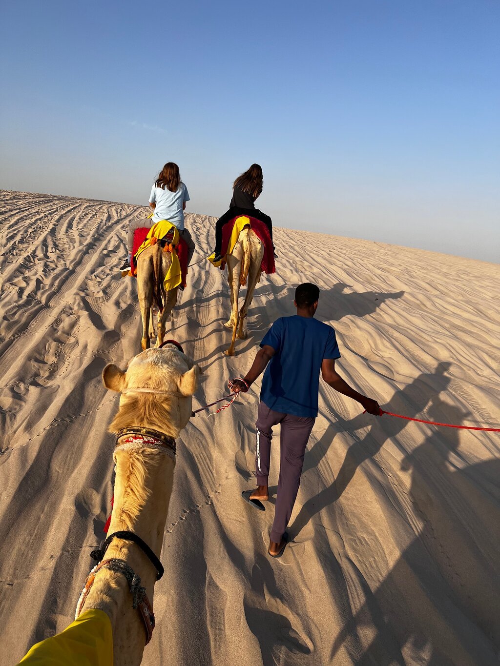 Doha: Desert Safari with Dune Bashing and Camel Ride