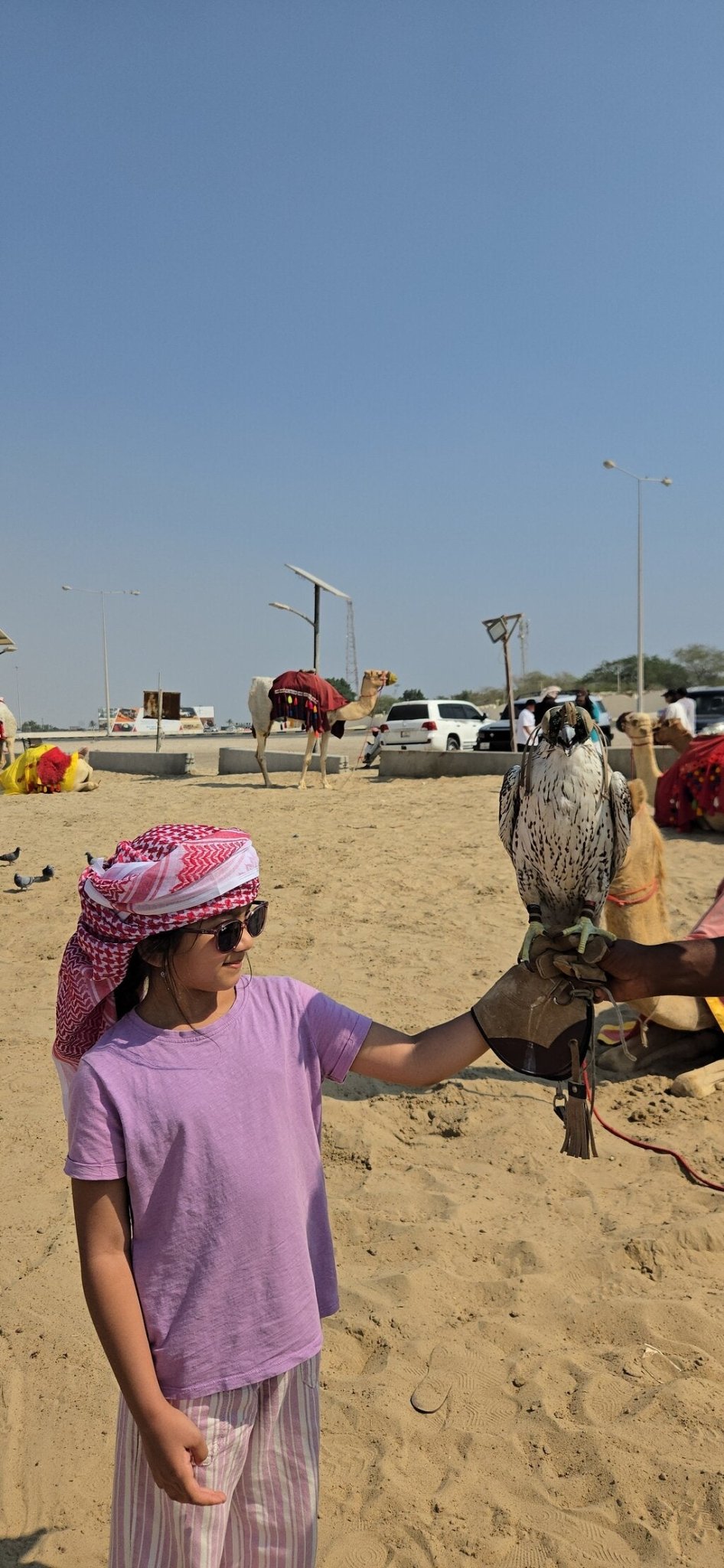 Doha: Desert Safari with Dune Bashing and Camel Ride