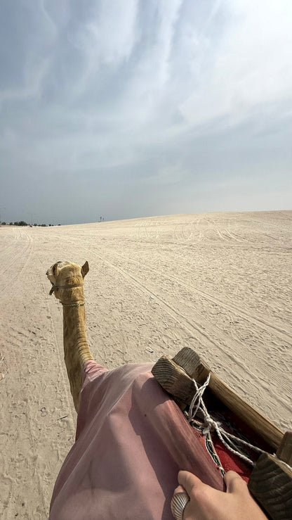 Doha: Desert Safari with Dune Bashing and Camel Ride