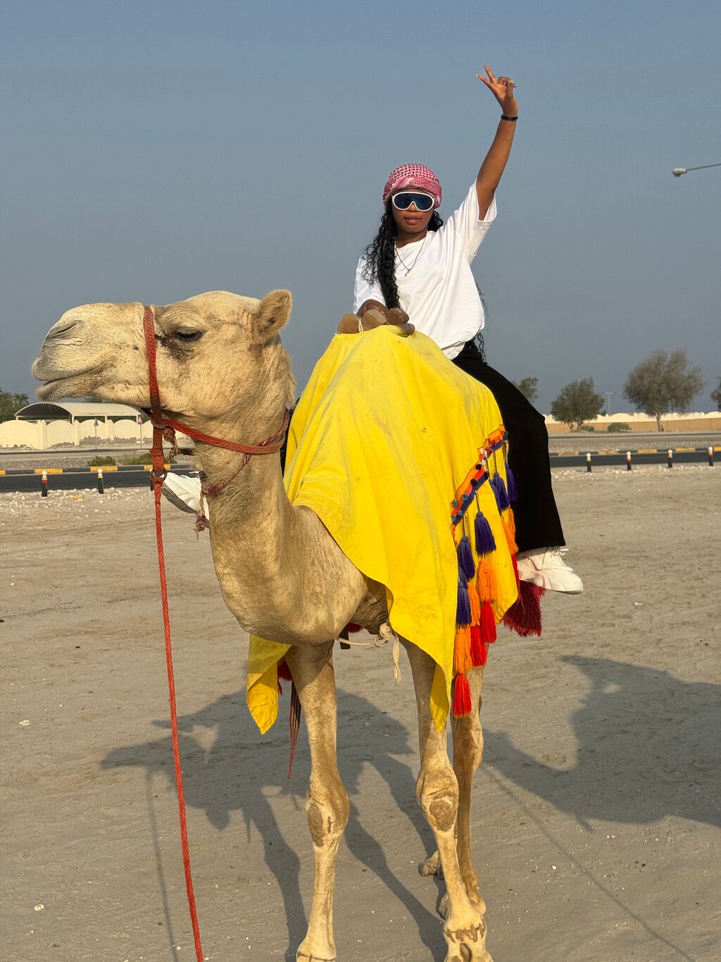 Doha: Desert Safari with Dune Bashing and Camel Ride